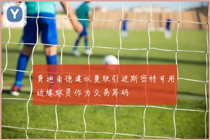 费迪南德建议曼联引进斯密特可用边缘球员作为交易筹码